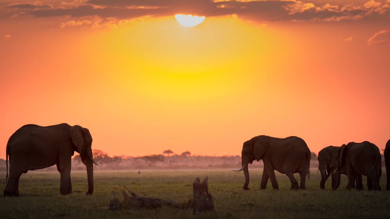 Discover Tanzania: A Land of Stunning National Parks
