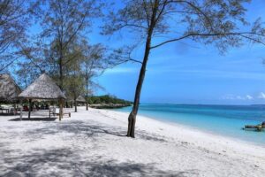 MBUDYA ISLAND (often written as Mbudya Island). It is one of the most popular small islands near Dar es Salaam and part of the Dar es Salaam Marine Reserve, famous for its white sand beaches, clear water, and coral reefs. � � What Mbudya Island is like • Located about 20–30 minutes by boat from Dar es Salaam (usually from Coco Beach / White Sands area) • No hotels or permanent residents — it’s a day-trip island • Known for: o o o Swimming in calm turquoise water Snorkeling with small coral fish Grilled seafood (fish, lobster, prawns sold on the beach) o Quiet nature and picnic spots under trees � � Boats usually run in the morning and return in the afternoon Bring cash, sunscreen, water, and snorkeling gear if you have it — facilities are basic but the nature is the main attraction.